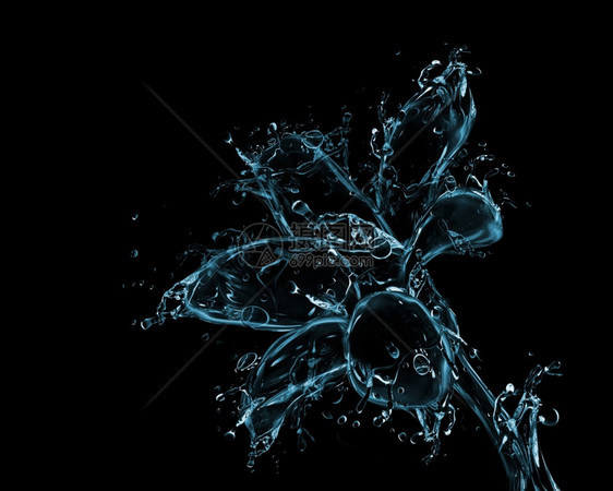 坠落花黑色的液体制品花芽形状由水和滴落制成黑暗的图片