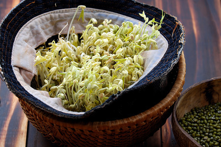 颜色天为食品安全而自制豆芽青发使营养蔬菜烹饪以木本为原料的篮子关闭小豆芽幼苗图片