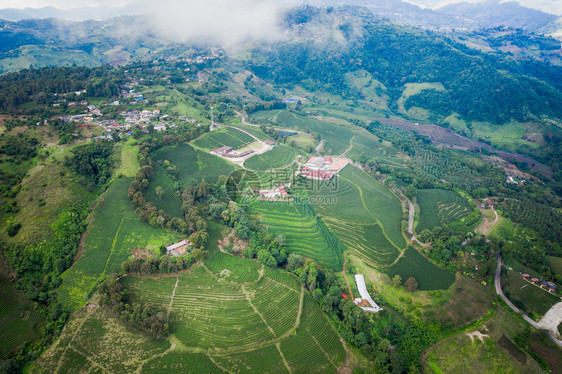 从无人驾驶飞机的空中观察山上亮莱泰陆空风景上的绿色茶叶木板农田播种机工人无图片