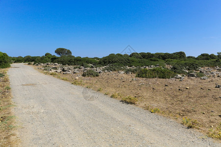 大约撒丁岛GiaradiGesturi周围的农村景观居住干燥图片