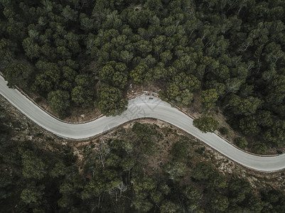 穿越森林的空弯曲路高视距叶子新鲜天线图片