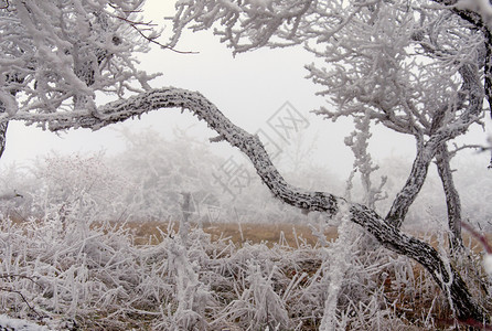 冬季风寒冰的雪地我是冷冻小路背景图片