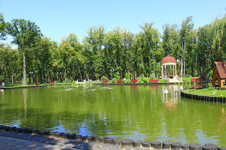 树干城市的人行道公园的凉亭湖人们在哈尔科夫的高基公园休息城市的景观设计城市公园的凉亭湖图片