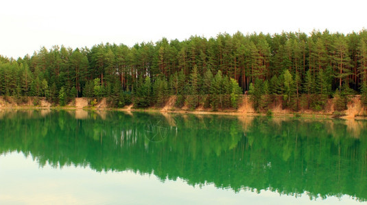 森林中美丽的湖泊图片
