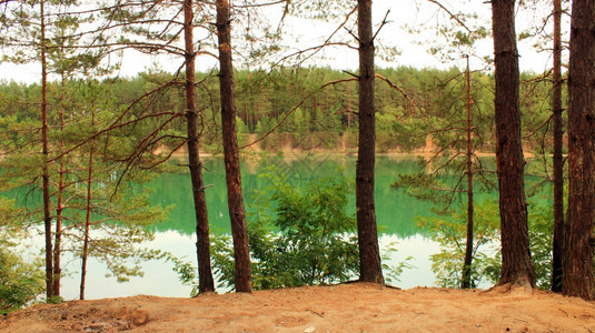 一种针叶树森林的美丽风景中森林里有光滑的湖冷静图片