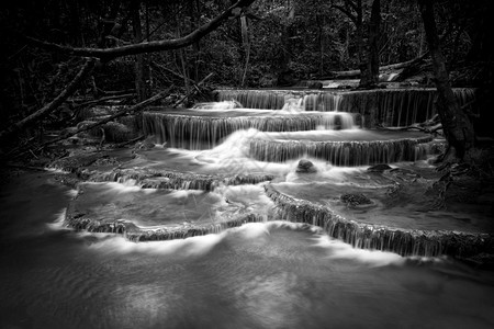 接触环境美丽的黑白瀑布自然季节在林地的春天泰国风景优美图片