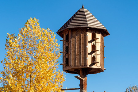 树蓝天背景上的木白鸽子一只大阁楼或木头乡村的图片