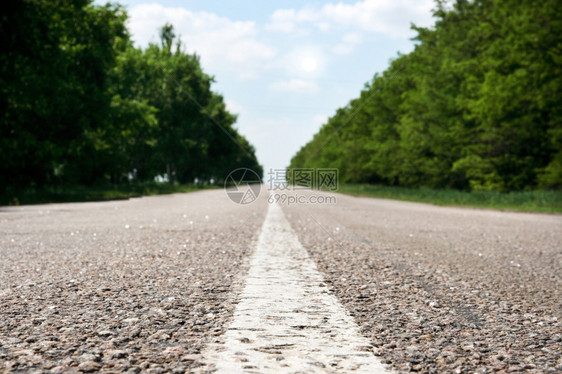 透过林木在阴云的天空中开辟明亮的新道路绿色蓝的黑暗图片