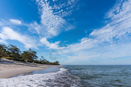 和平美丽波罗的海沿岸夏日风景海的早晨波罗海沿岸夏日风景早期图片