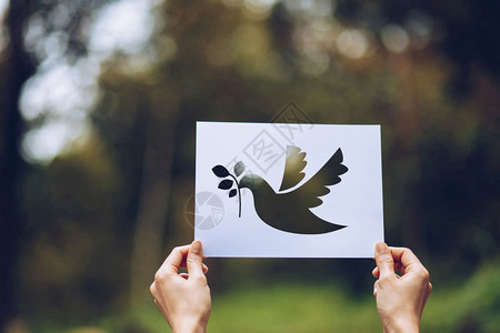 在国际和平日展示带有概念鸽子模版标志的剪切纸国际和平日的希望象征图片