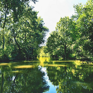 自然美丽的夏季风景在捷克布塔运河风景美丽的色水绿图片