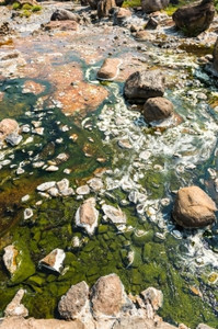 地球泰国商务旅行的温泉水池地标透明图片