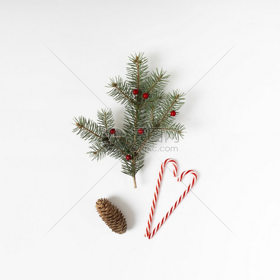 红色的带糖果甘蔗锥形的fir树枝冬青新年图片
