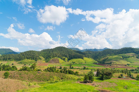 夏天云日的山和空白的林树和山风景图片