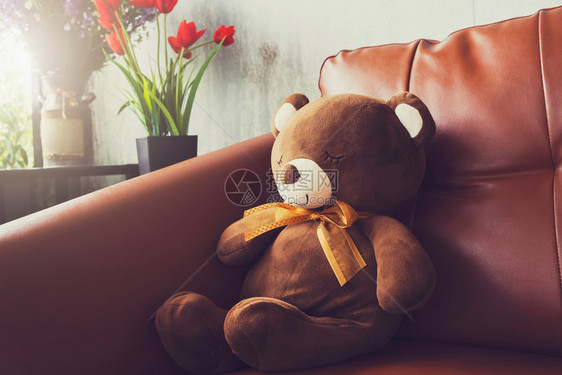 沙发上的熊洋娃花朵在瓶中亲热悲伤蓬松的图片