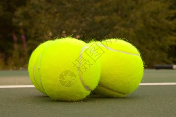 球拍圆圈户外绿色球场上的新黄网球图片