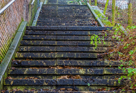 肮脏的森林自然界中间的石头楼梯户外建筑树叶覆盖的台阶滑着楼梯院子图片