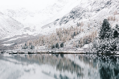 山地冬季湖在水面岩石反射着高海拔美丽的湖有着阿尔泰自然界的清净美和明镜水平静的日出纯度背景图片