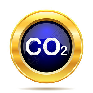 白色背景上的CO2图标Internet按钮二氧化碳力量图片