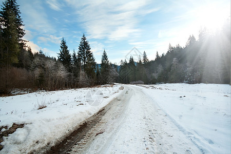 冬季森林山区的交通道路背景情况和寒冷的车道图片