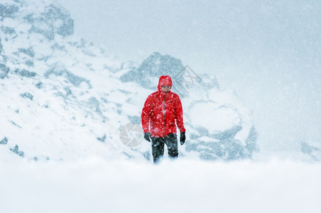 快乐的树在下雪降时穿着红色大衣在雪上覆盖的路行走人旅图片