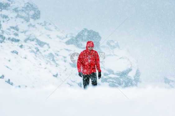 快乐的树在下雪降时穿着红色大衣在雪上覆盖的路行走人旅图片