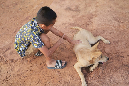 跪着咧嘴笑一个亚洲男孩和他的狗在户外玩拥抱图片