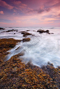 紫色的海浪冲击直线撞海滩上的岩石睫毛假期图片