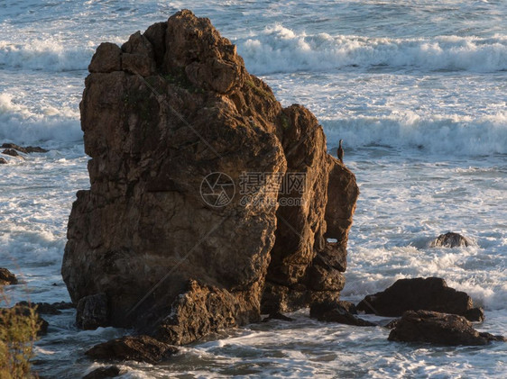 结石克里夫的灰海鸟在乔皮前风景岩石图片