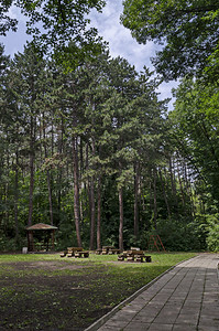 叶子在保加利亚索非的自然老旧西公园林中森草原上的木制长凳高地和桌子上西方木制的图片