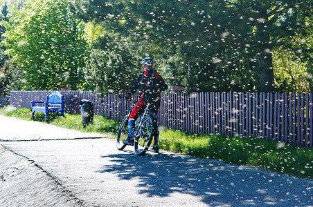 轮廓头盔夏季的蚊子一群稻草虫和骑自行车的人夏季昆虫云和赛克林人车轮图片