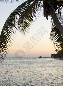 水安静海滩岛棕榈树在一片寂静的场景中图片