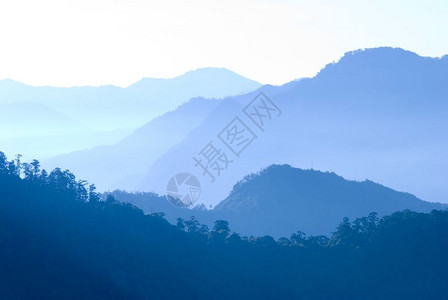 顶峰晨雾中的山平静树图片