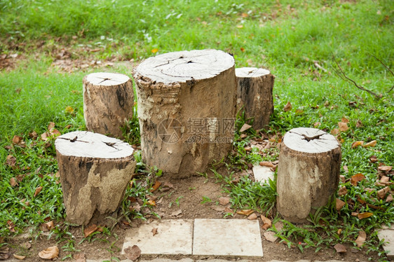 旧木材有几尺大小是花园草地上的一张桌椅是花园里的草地桌子质老的图片