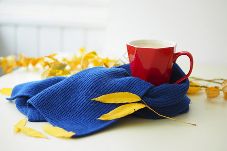 秋季温暖奶茶和蓝色围巾图片