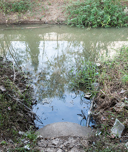 从工厂到村附近运河的废水从工厂到运河老的绿色污水图片