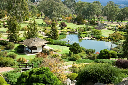 东方桥日本人澳洲新南威尔士Cowra日本花园的一幕图片