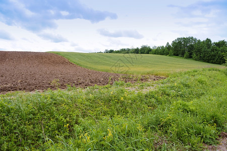 场景耕地种的农田地土壤畦图片