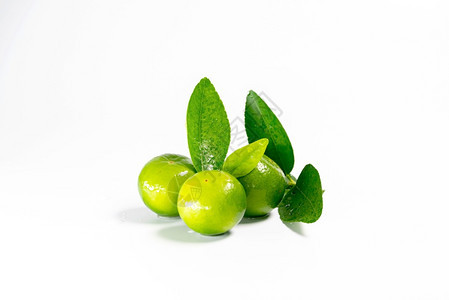 喝营养为了白底隔离的新鲜柠檬和用于烹饪的绿叶子图片