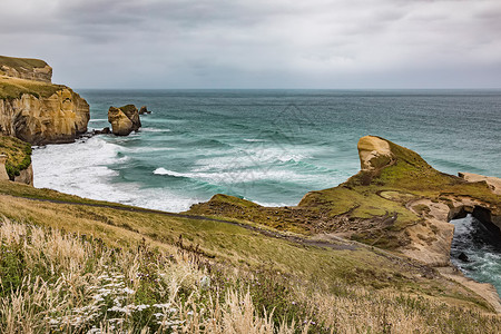 新西兰地道海滩的一幅图象旅行游自然图片