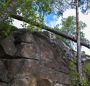 装饰品陈年看见有棵树落在天边的岩石悬崖图片