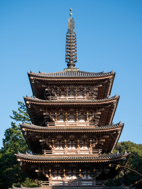 桥日本秋京都大地寺庙旅行十一月图片