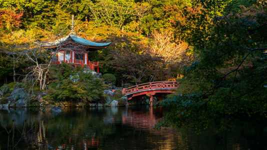 宗教日本秋京都大地寺庙醍醐美丽的图片