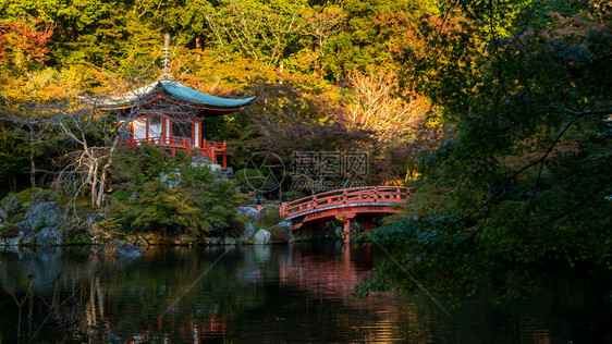 宗教日本秋京都大地寺庙醍醐美丽的图片