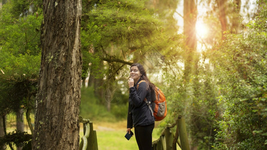 美丽的西班牙裔女人穿着黑色背包独自走在森林小径上早在树间晒太阳假期公园户外图片