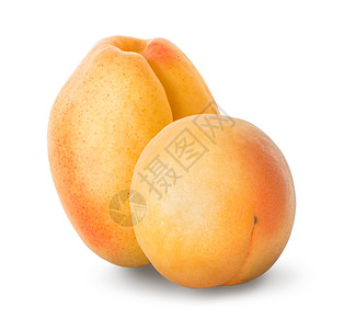 两个成熟的杏子孤立在白色背景上两个成熟的杏子多汁开胃目图片
