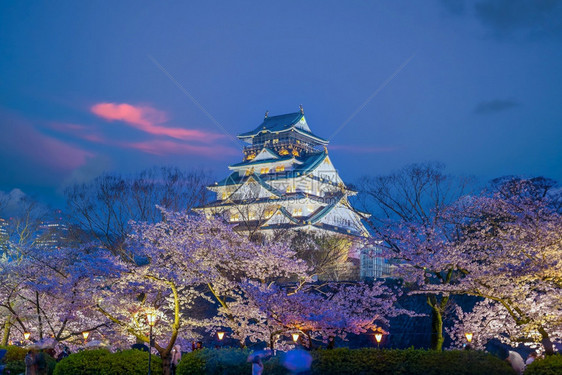 大阪城堡的暮光日落时在本樱花开季节建筑学旅游花见图片