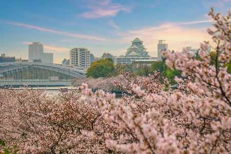 观光遗产大阪城堡的暮光日落时在本樱花开季节亚洲图片