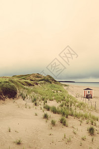 加拿大爱德华王子岛北部海岸滩的照片来自加拿大爱德华王子岛北岸当天被覆盖东北方假期图片