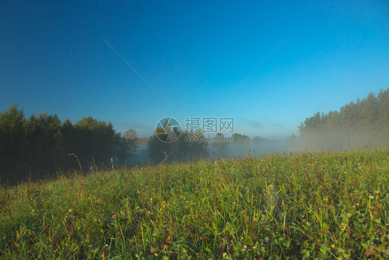 树朦胧一个美丽的十月清晨在草地上和森林的群丘蓝天空波兰秋有微薄雾蓝色的图片